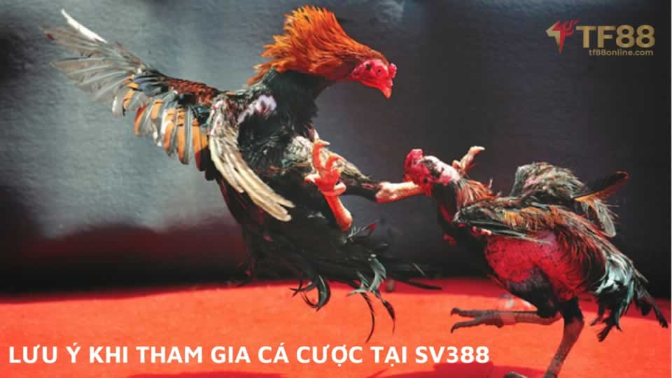 tải xuống dành cho người mới - Vesovn