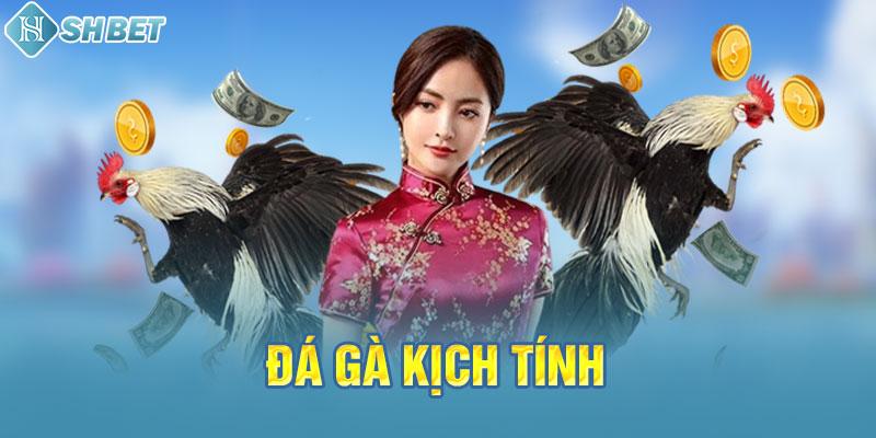 Vesovn hỗ trợ nhiều phương thức thanh toán - Vesovn